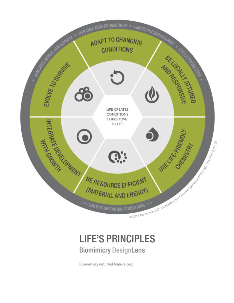 6 principes vie nature opoiesis